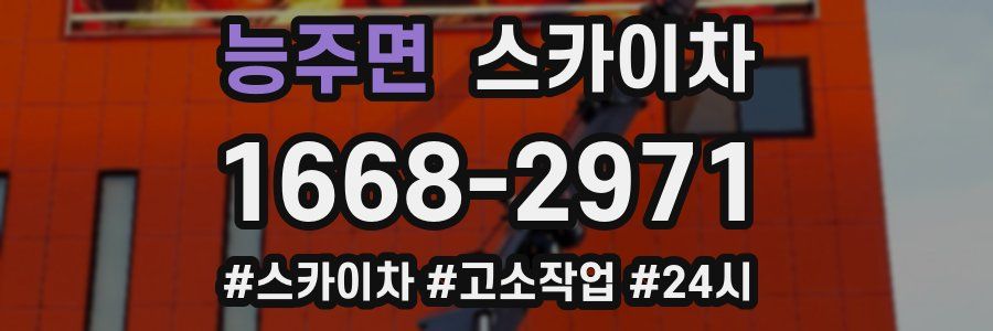 능주면 스카이차