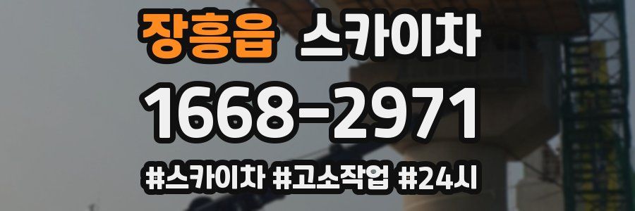 장흥읍 스카이차