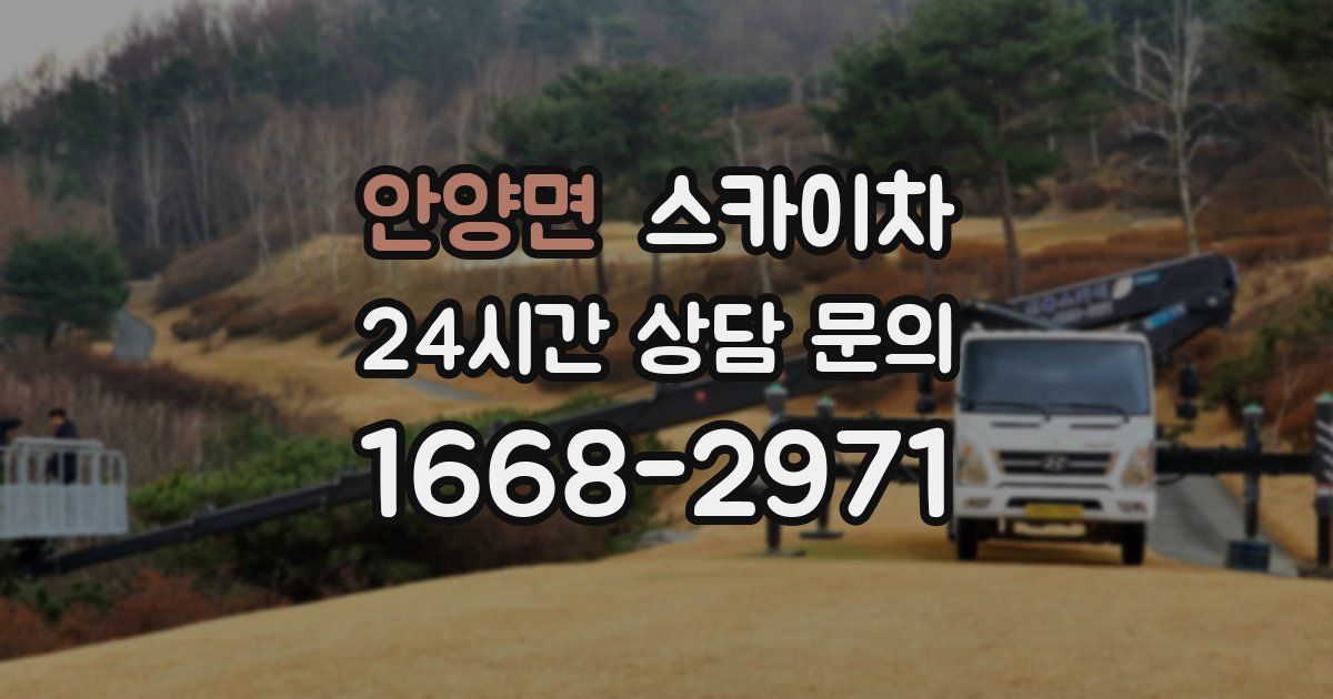 안양면 스카이차