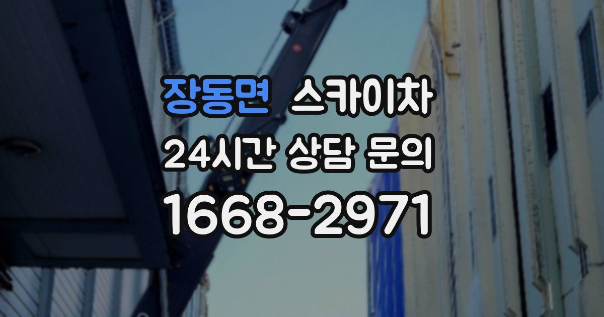 장동면 스카이차