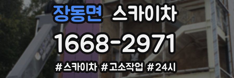 장동면 스카이차