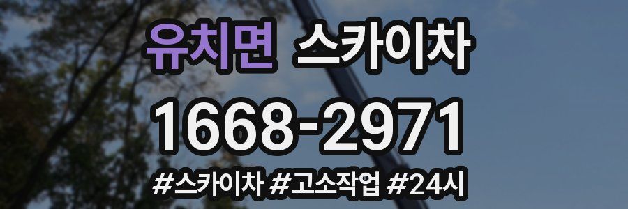 유치면 스카이차