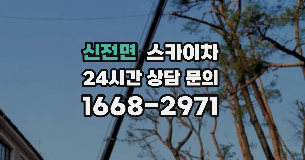 신전면 스카이차