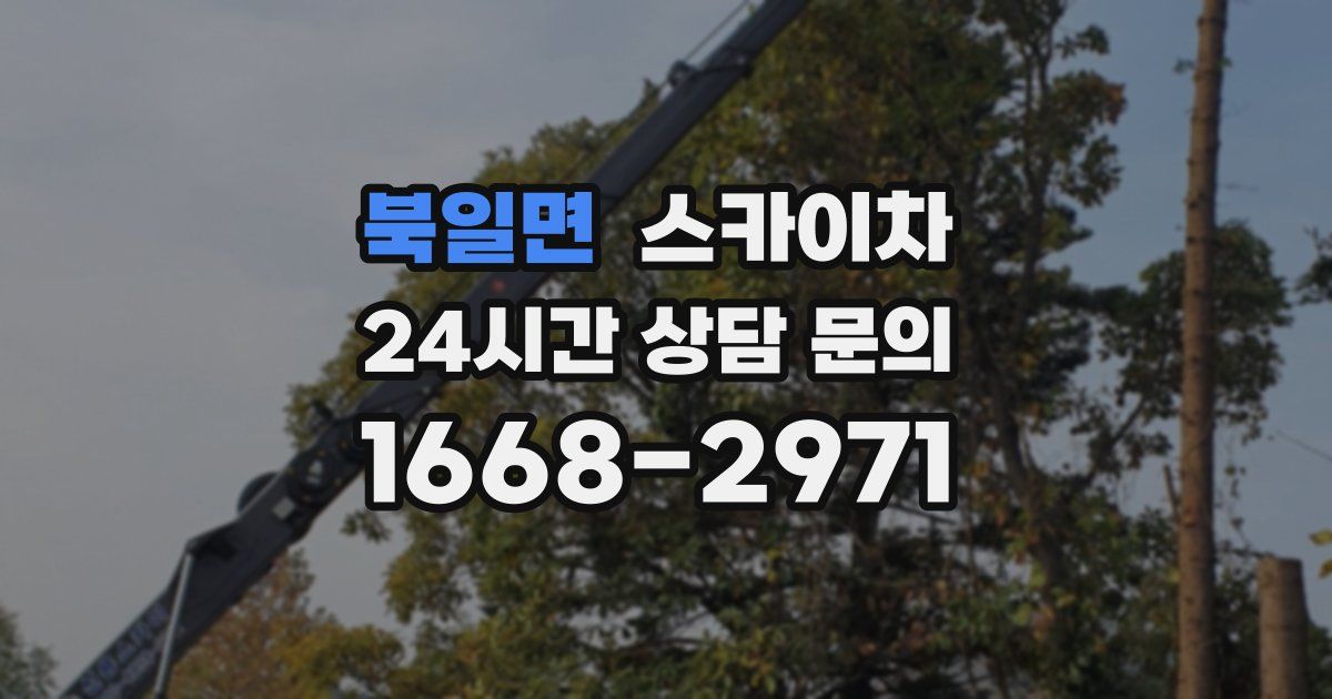북일면 스카이차