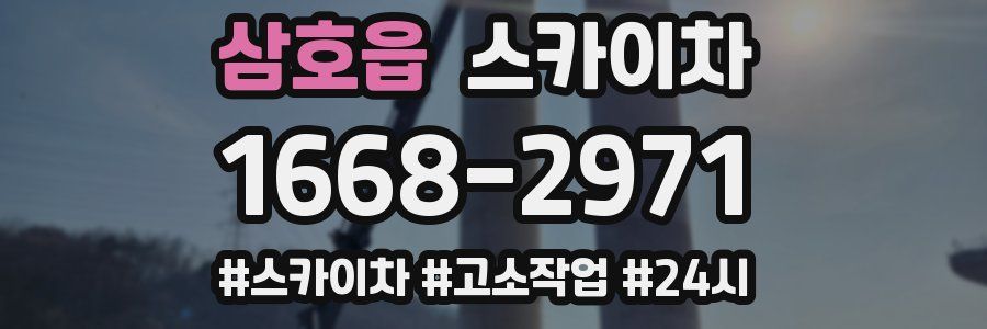 삼호읍 스카이차