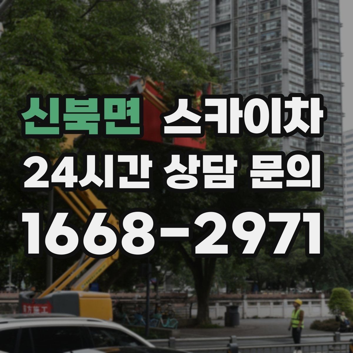 신북면 스카이차 외벽 조류 배설물 청소 작업 진행