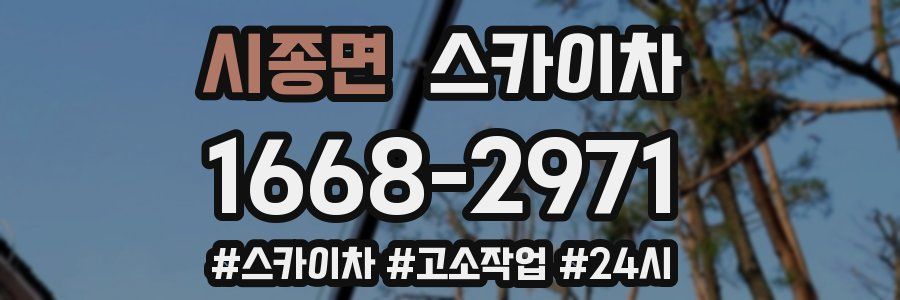 시종면 스카이차