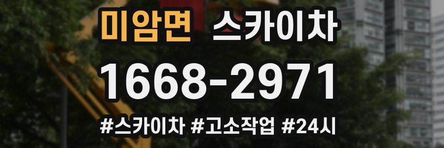 미암면 스카이차