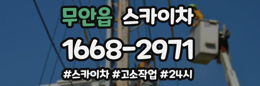 무안읍 스카이차