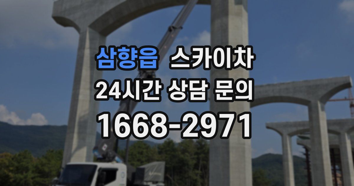 삼향읍 스카이차