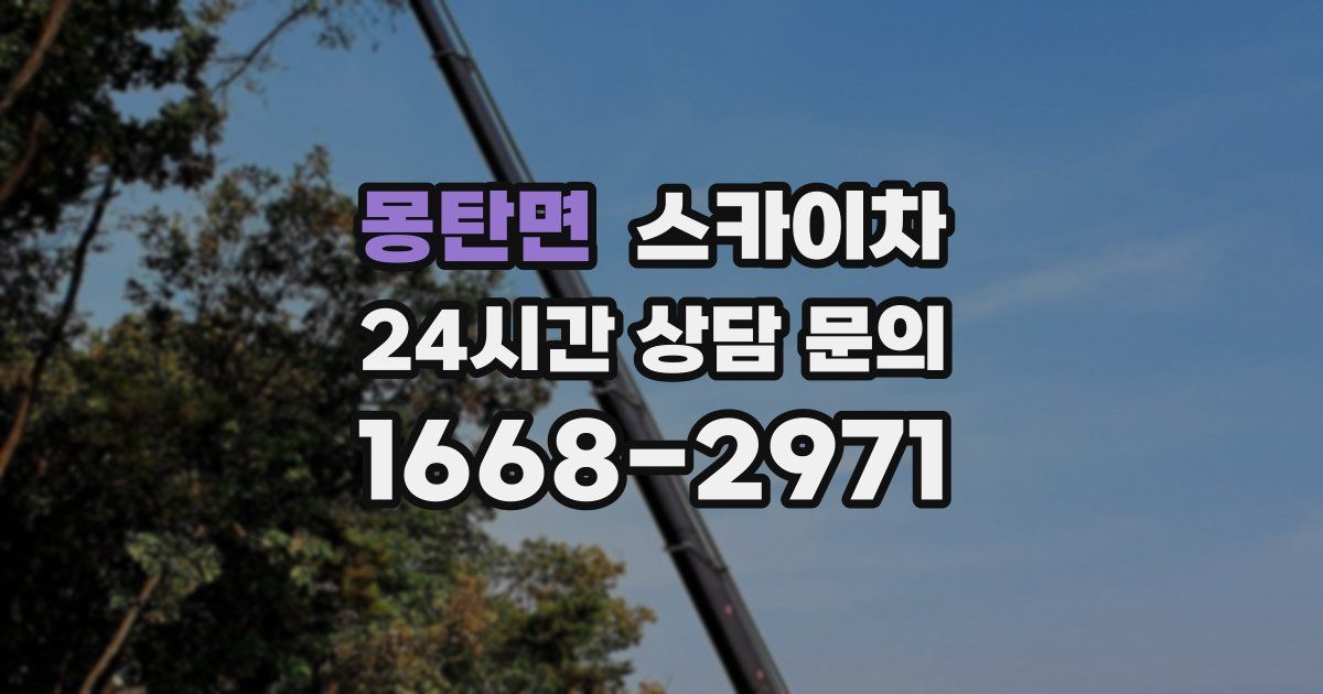 몽탄면 스카이차