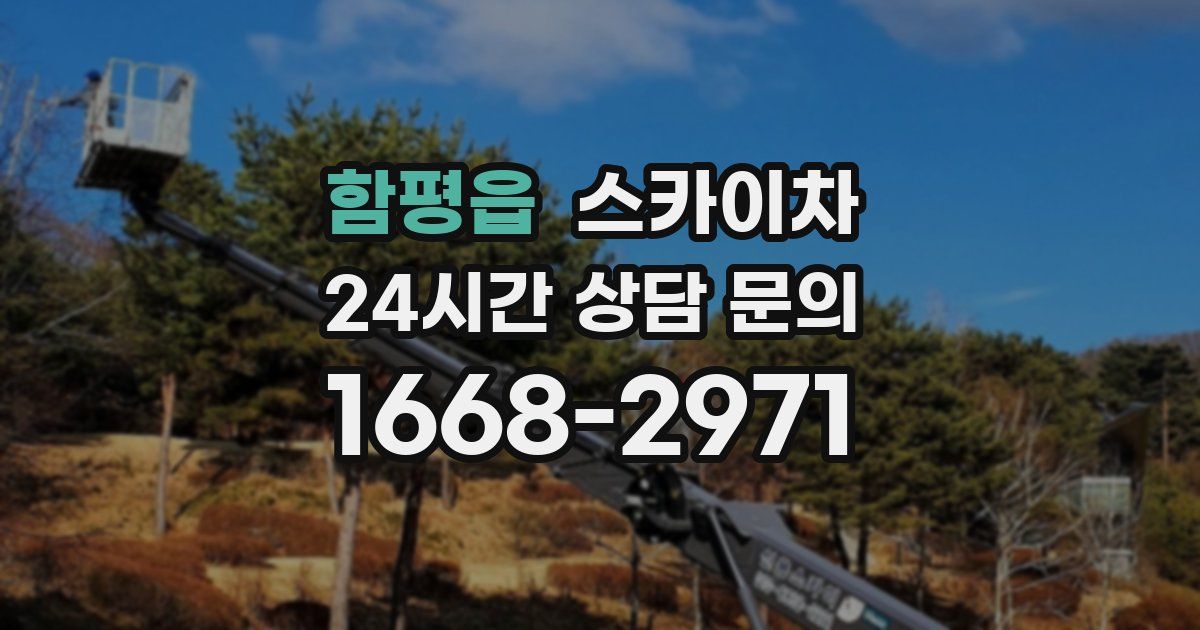 함평읍 스카이차