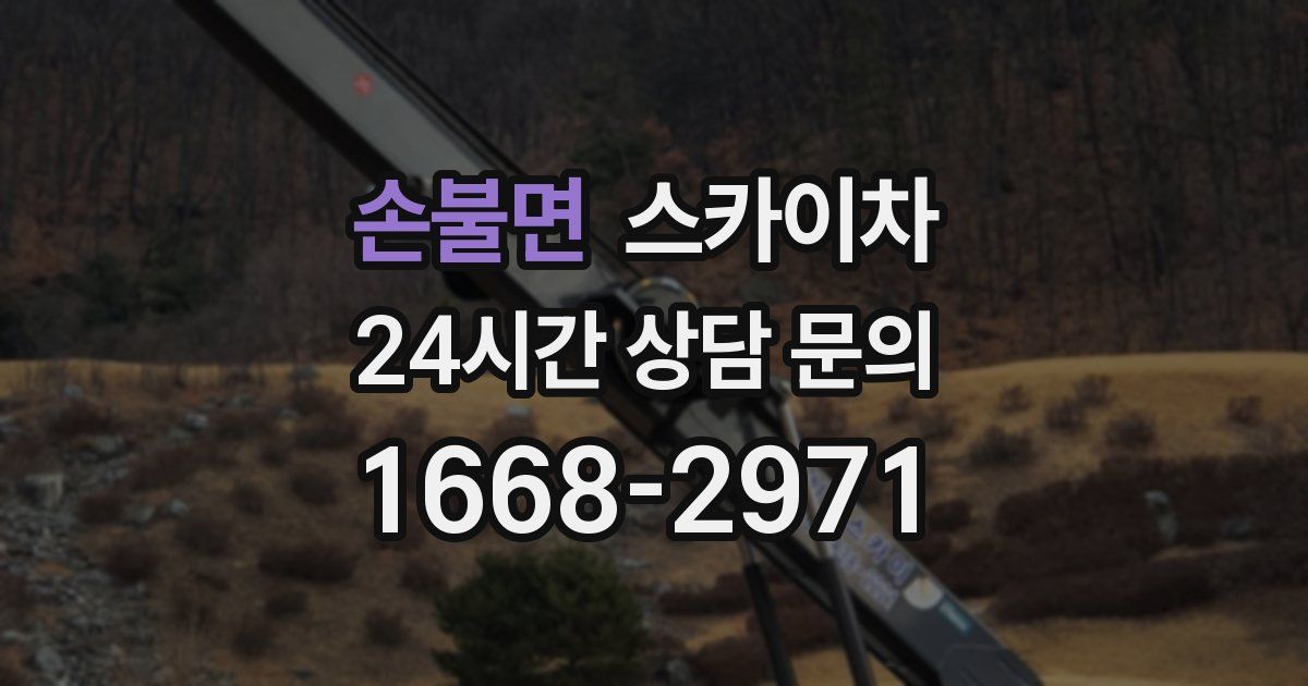 손불면 스카이차