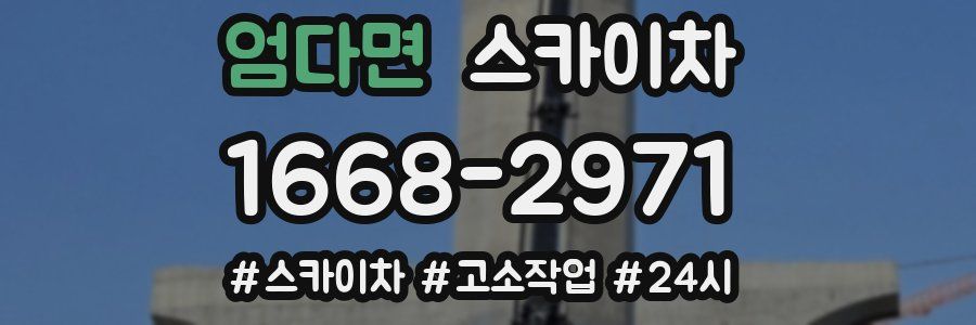 엄다면 스카이차