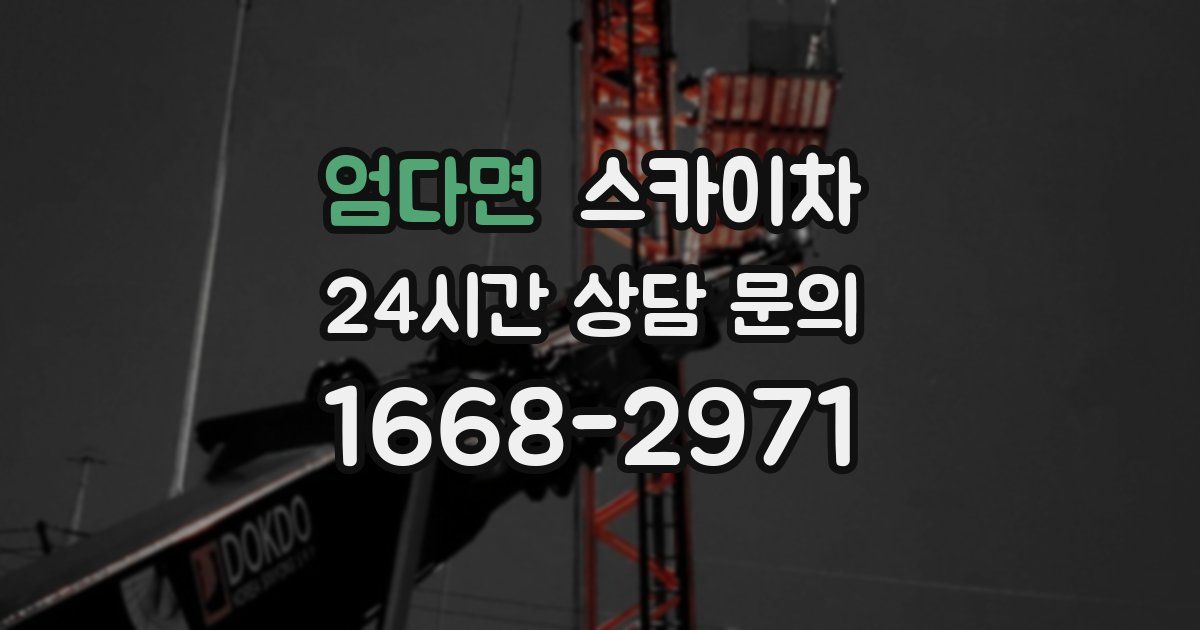 엄다면 스카이차