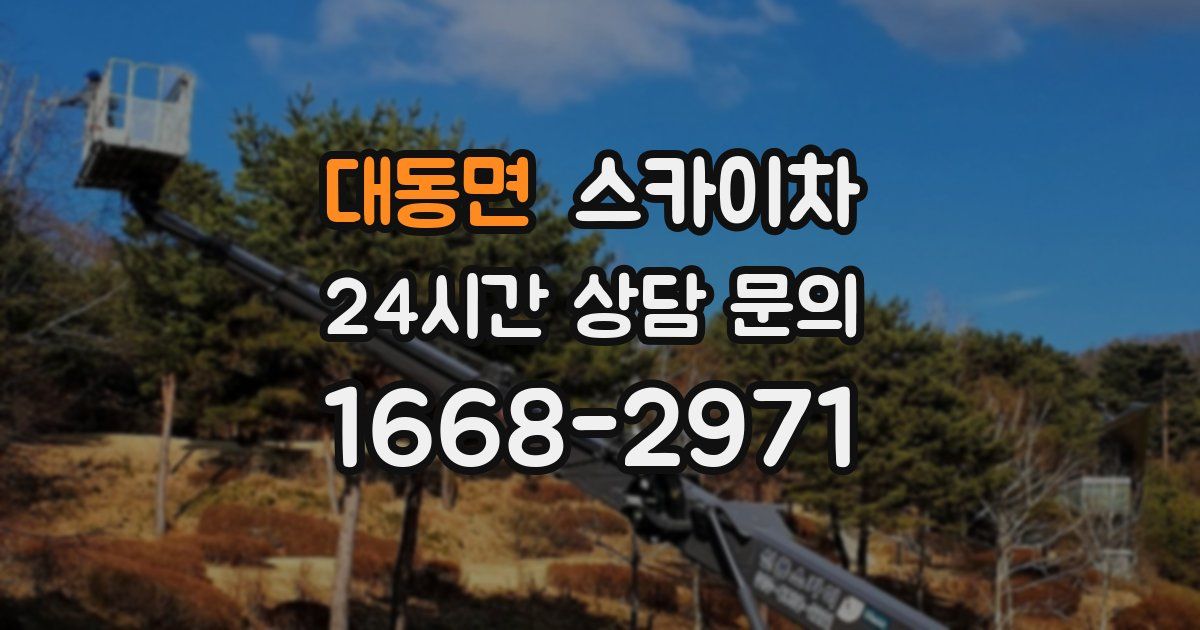 대동면 스카이차