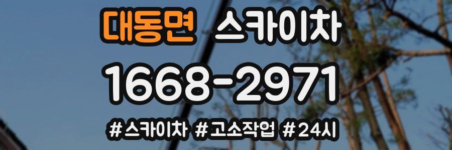 대동면 스카이차