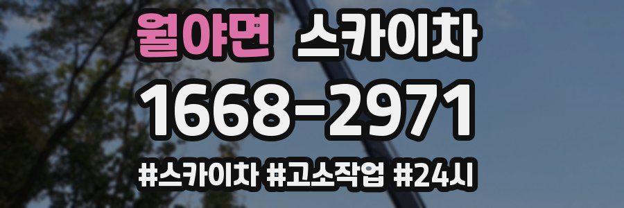 월야면 스카이차