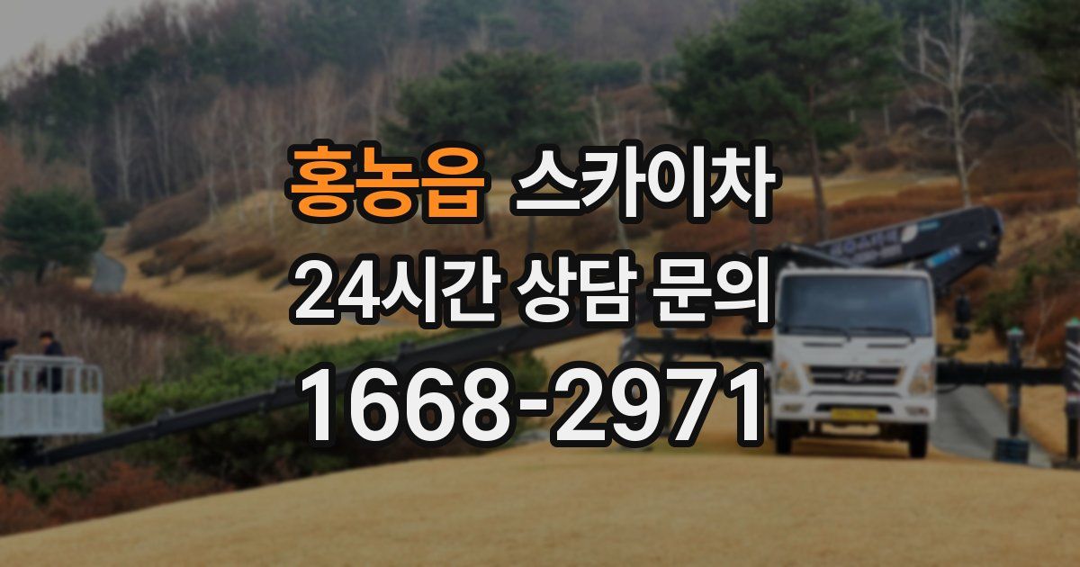 홍농읍 스카이차