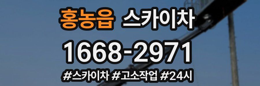 홍농읍 스카이차