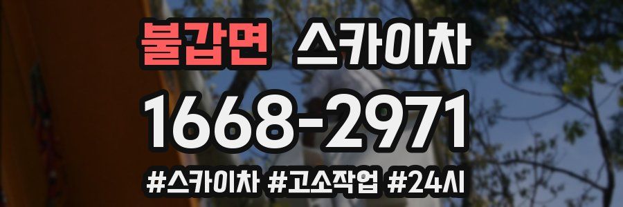 불갑면 스카이차