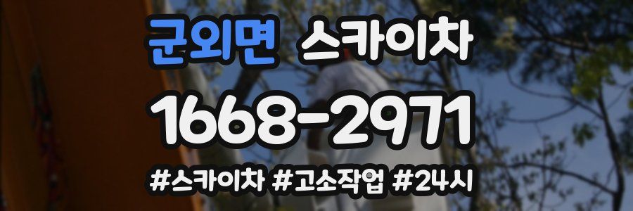 군외면 스카이차