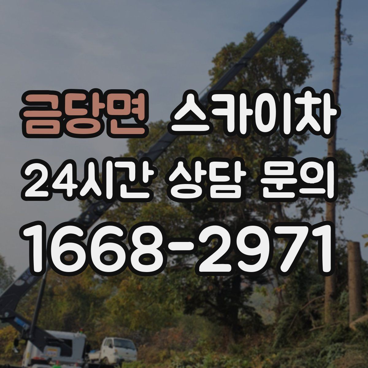 금당면 스카이차 돌출 간판 낙하 위험 예방 점검