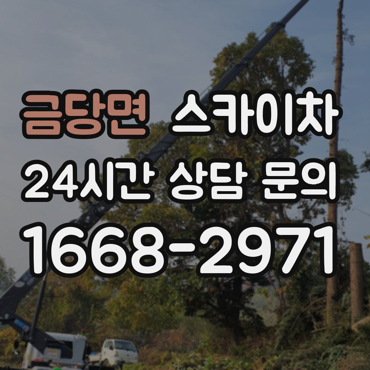 금당면 스카이차