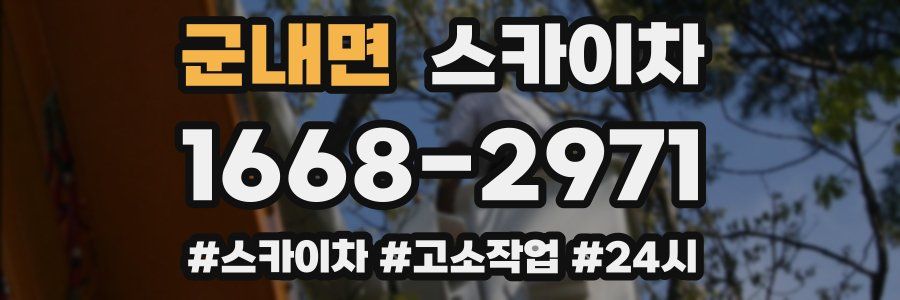 군내면 스카이차