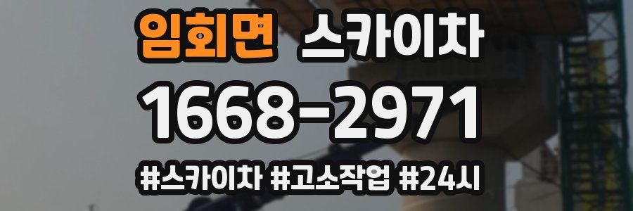 임회면 스카이차