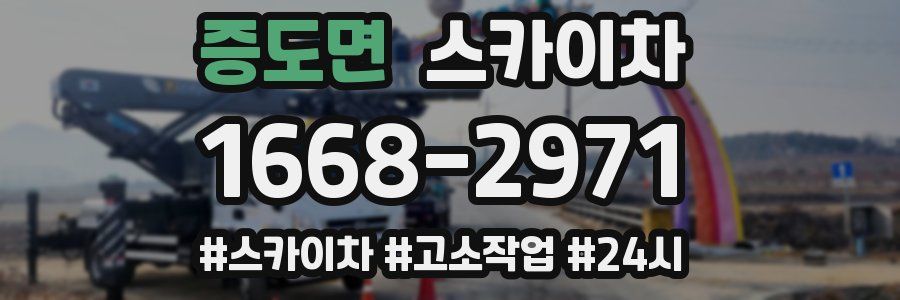 증도면 스카이차