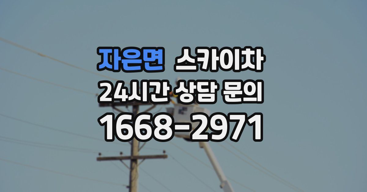 자은면 스카이차