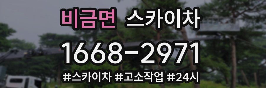 비금면 스카이차