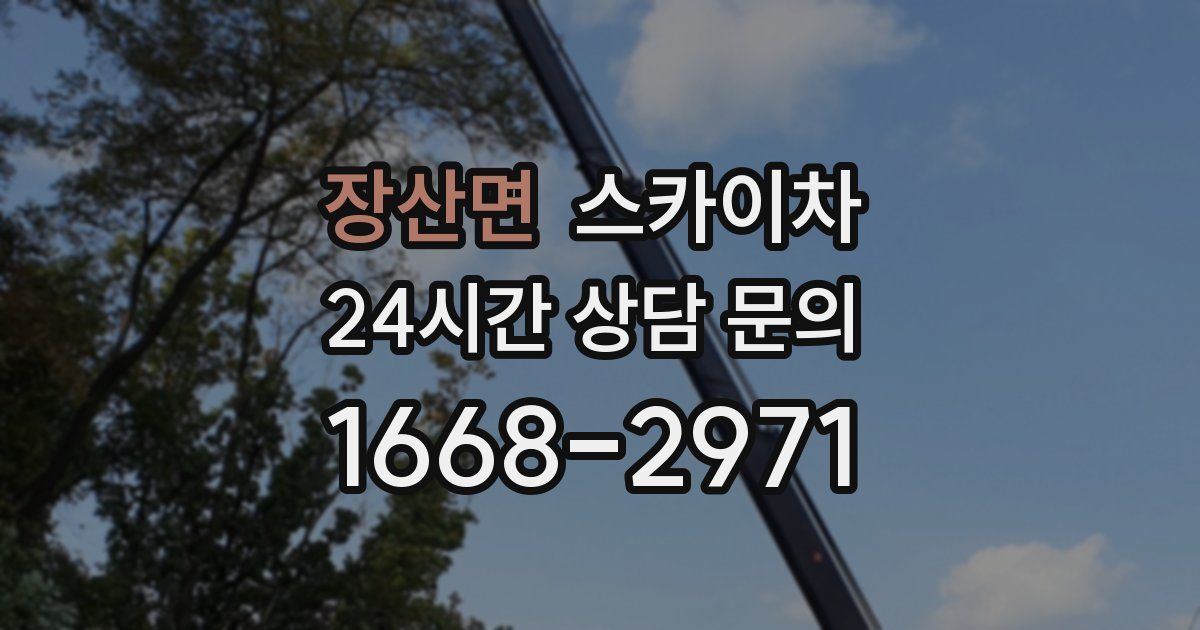 장산면 스카이차