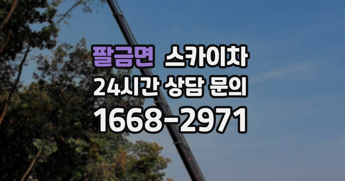 팔금면 스카이차