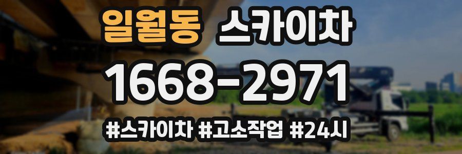 일월동 스카이차