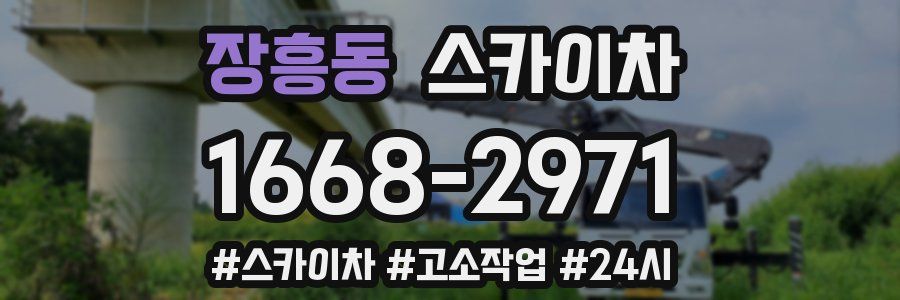 장흥동 스카이차