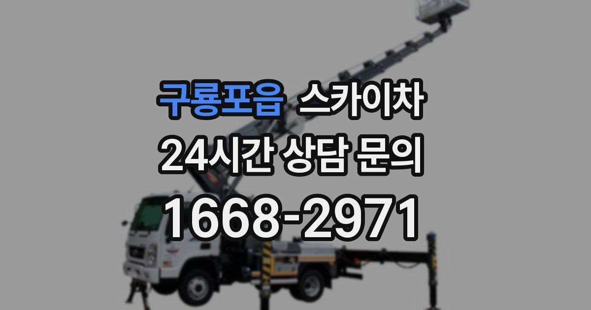 구룡포읍 스카이차