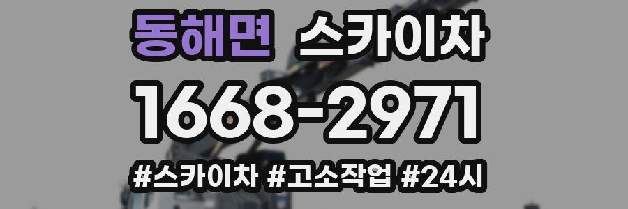 동해면 스카이차