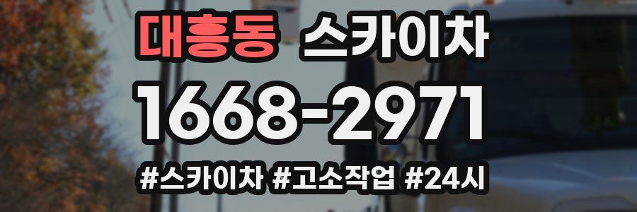 대흥동 스카이차