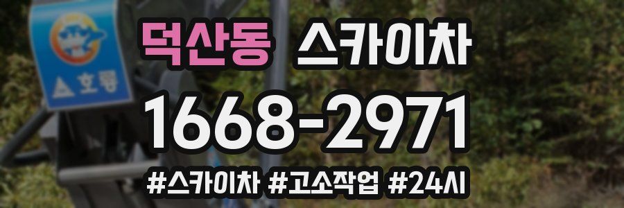 덕산동 스카이차