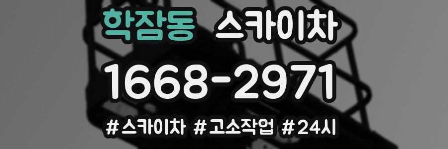 학잠동 스카이차