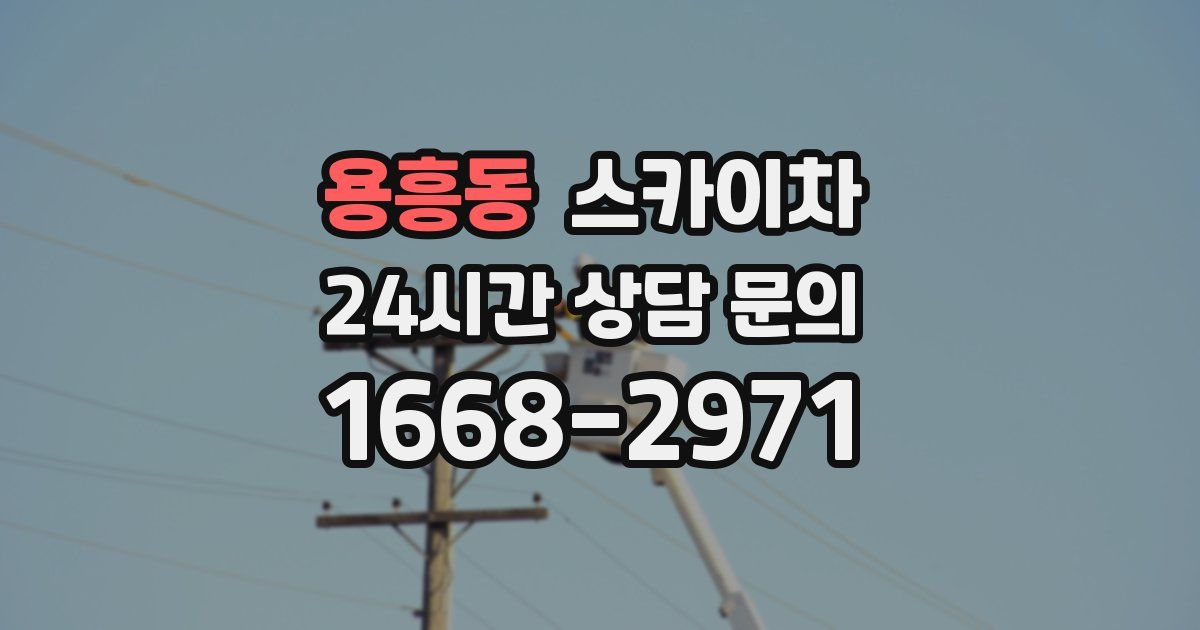 용흥동 스카이차