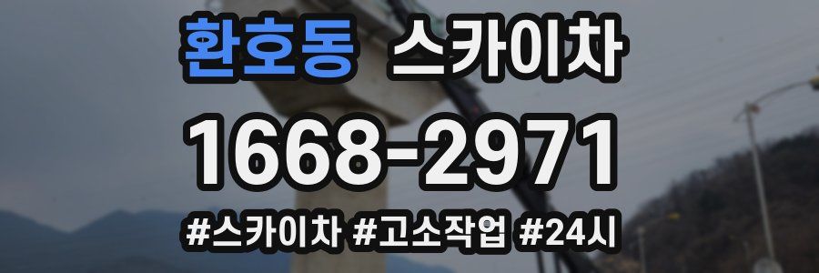 환호동 스카이차