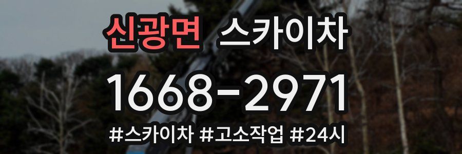 신광면 스카이차