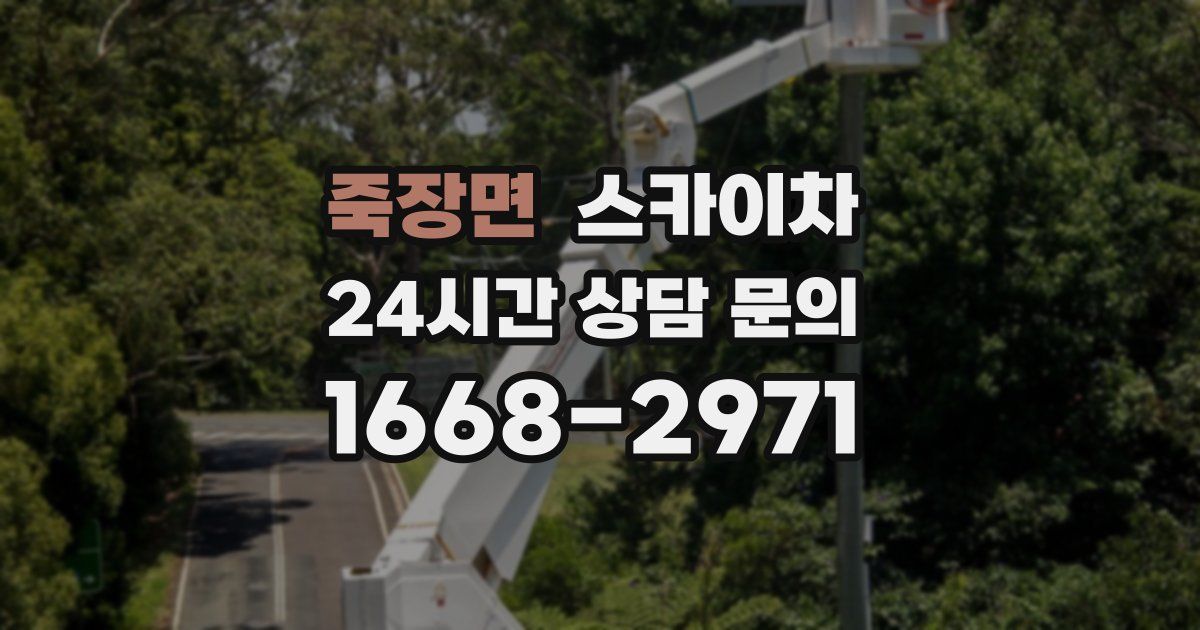 죽장면 스카이차
