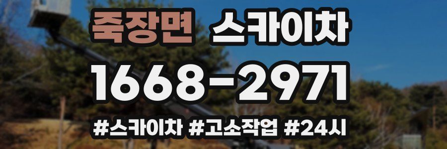 죽장면 스카이차