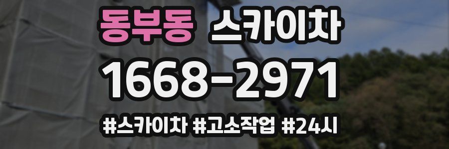 동부동 스카이차