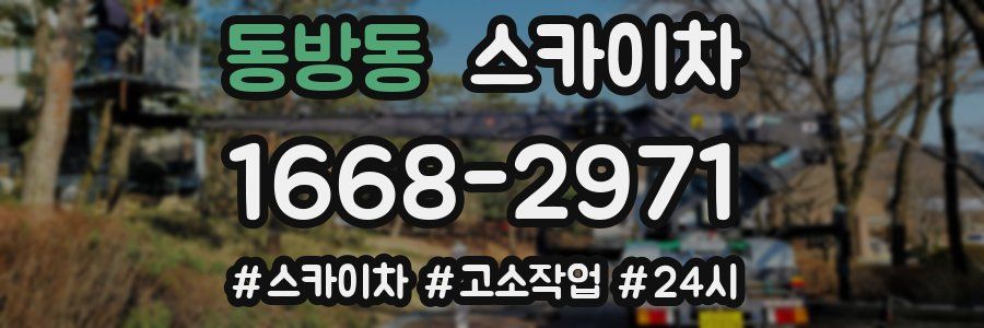 동방동 스카이차