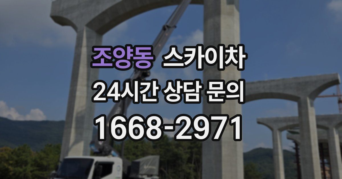 조양동 스카이차